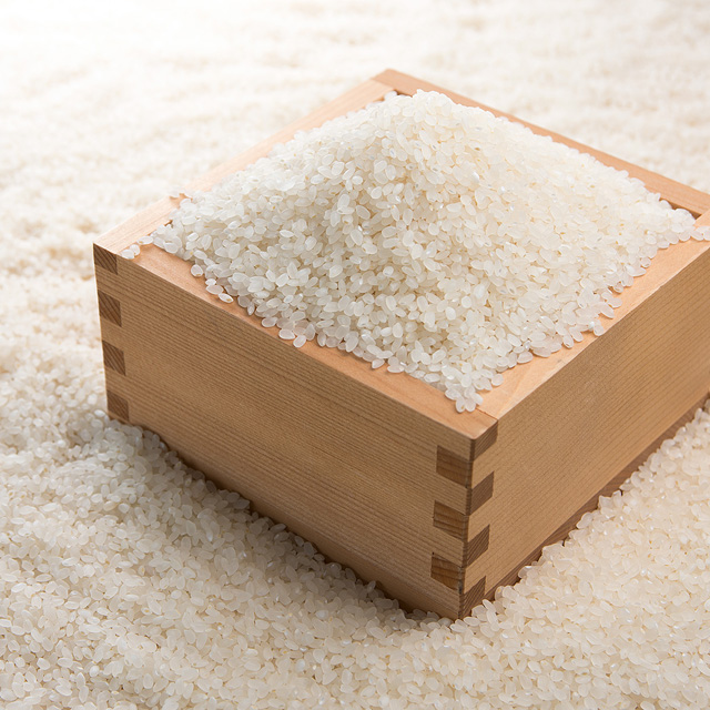 新潟県認証特別栽培米　岩船産コシヒカリ