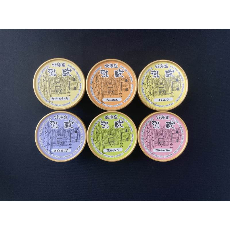 北海道 「乳蔵」 北海道アイスクリーム6個セット