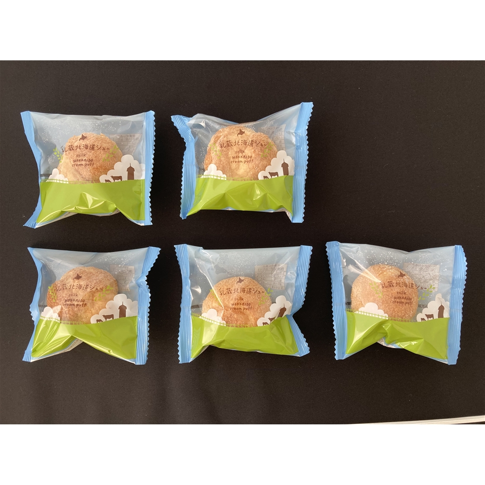 北海道 「乳蔵」 ミルクシュー5個セット