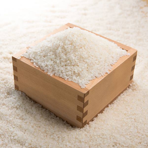 新潟県認証特別栽培米　岩船産コシヒカリ