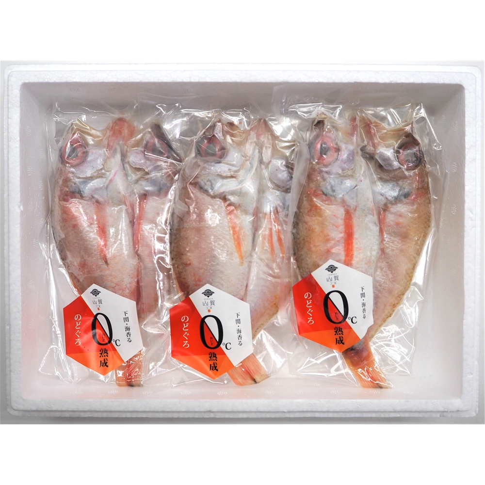 山口 「山賀」 のどぐろ開き0℃熟成干し 3尾セット