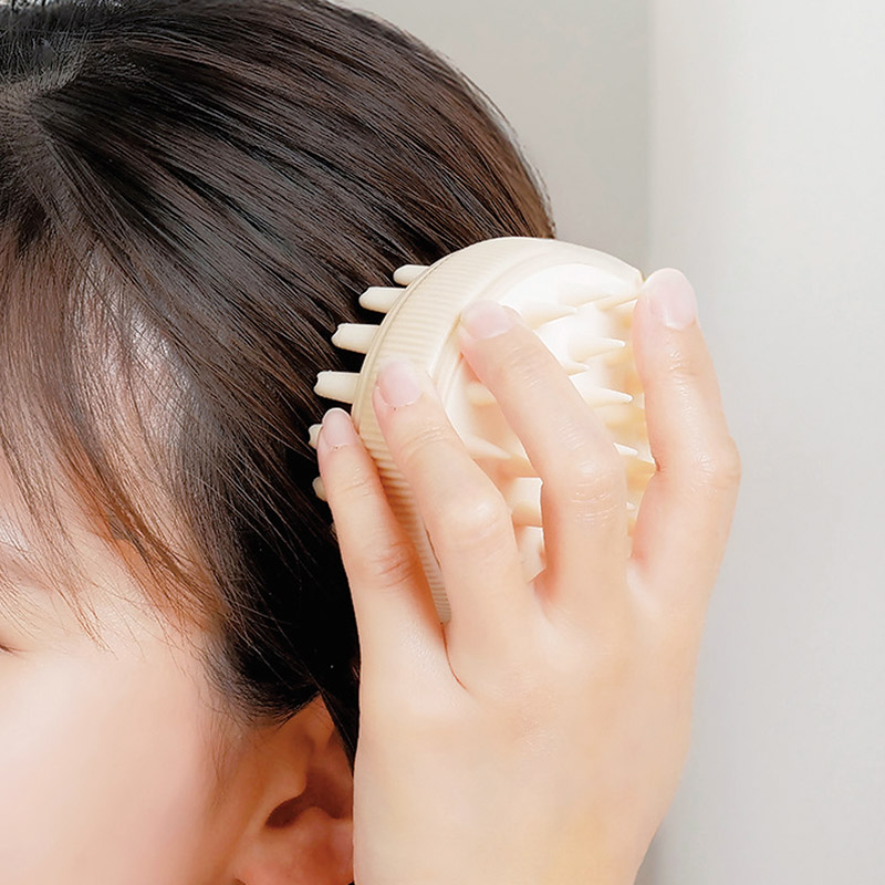 ドリテック　　2wayスカルプブラシ