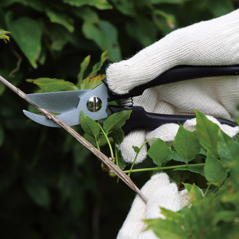 源正宗　　軽量剪定鋏