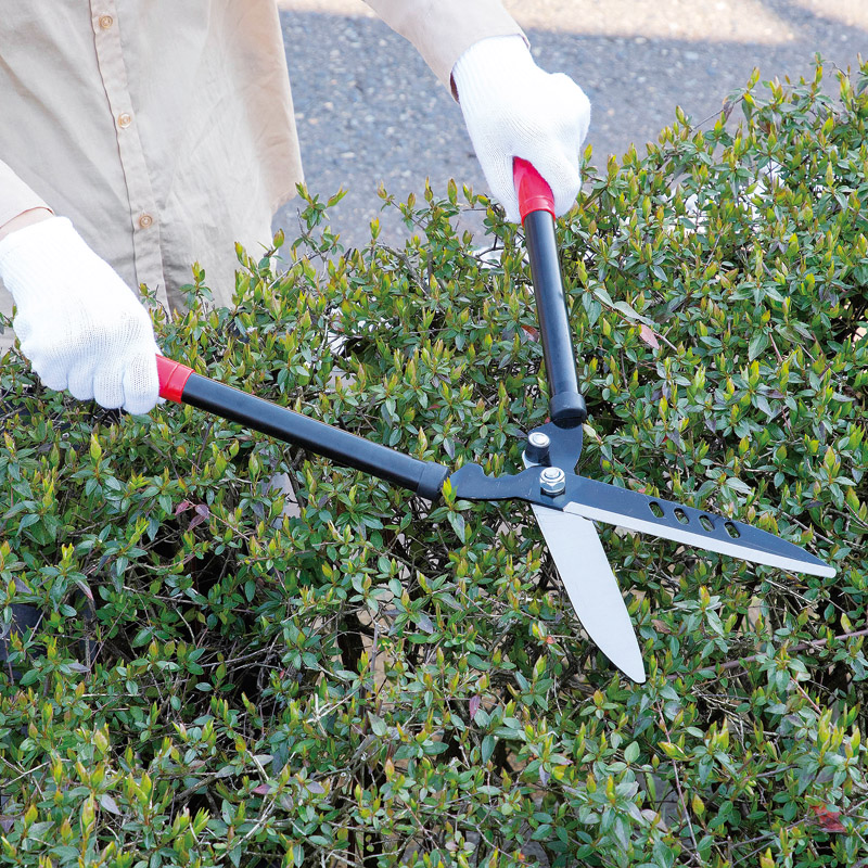 刈込鋏 ブラック