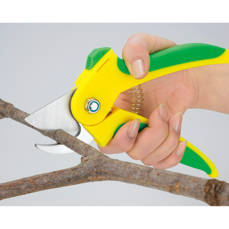 ペリカンはさみ