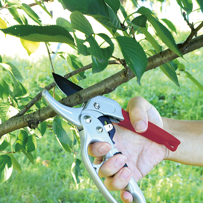 タカギ　　フッ素刃ラチェット式剪定鋏