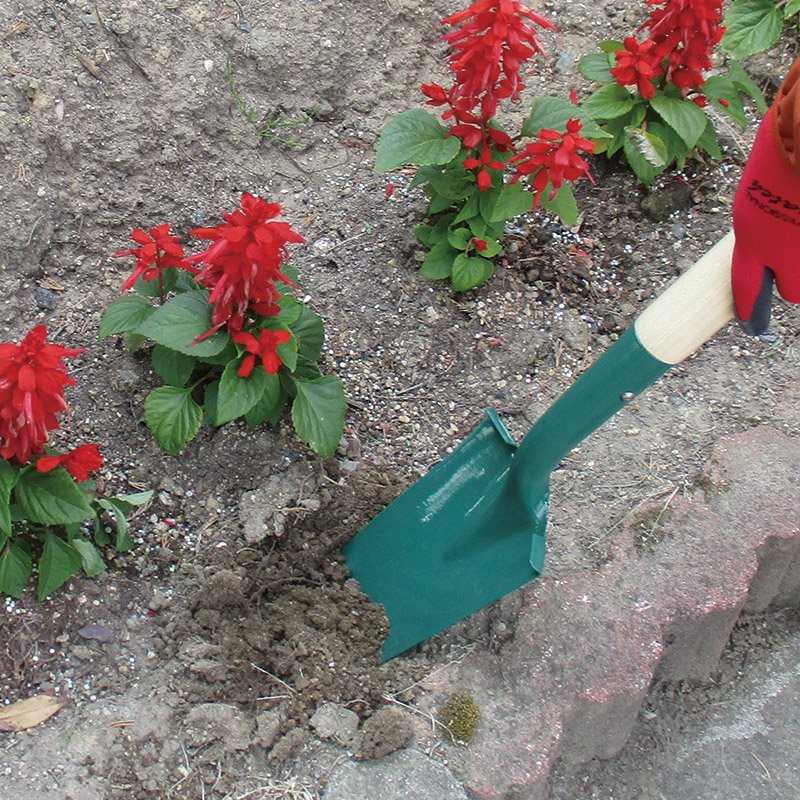 ガーデン･ほりスコ(一丁箱入)