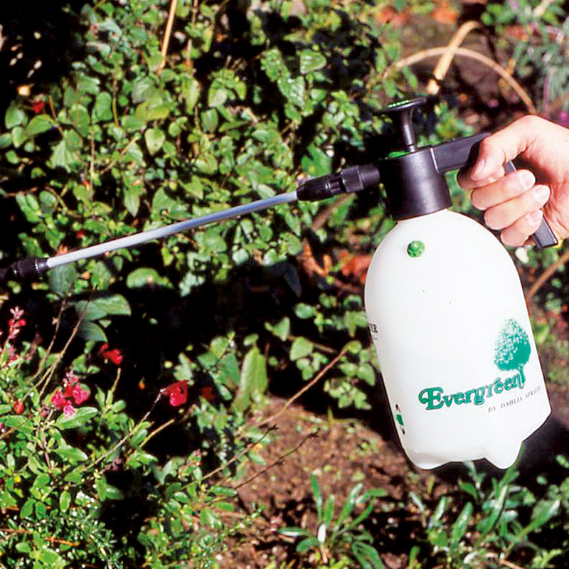 全自動マイスター