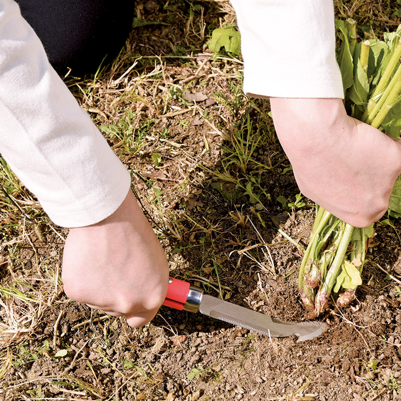 セーブインダストリー　　4WAY除草鎌