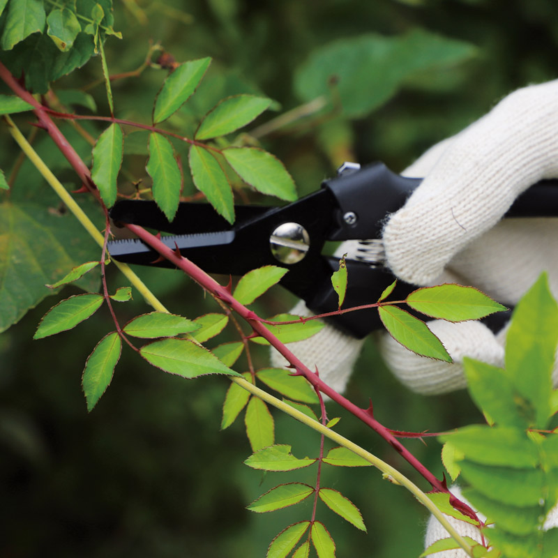 源正宗　　軽量園芸鋏(ポーチ付)