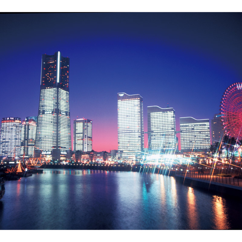 横浜ロイヤルパークホテル監修　　カレー&ハヤシセット