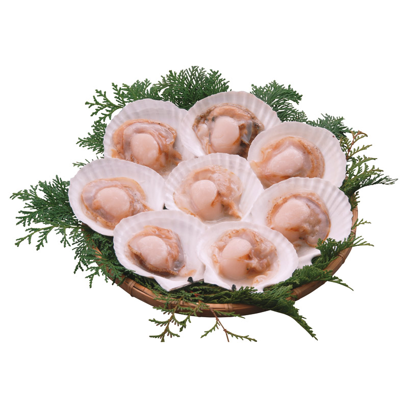 北海道のほたて片貝8枚