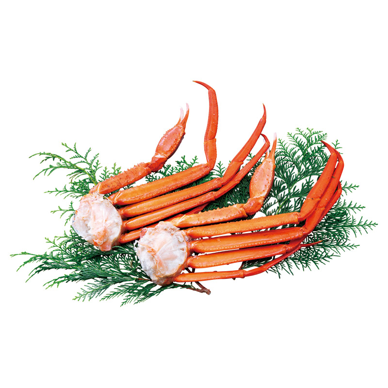 北海道松前産 紅ずわいがに脚350g