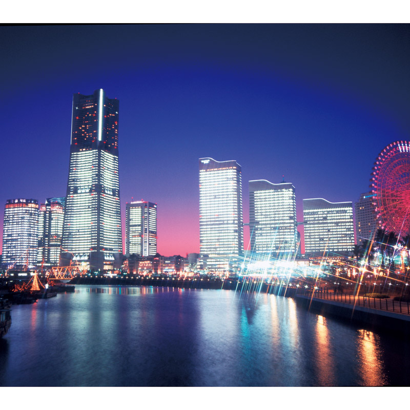 横浜ロイヤルパークホテル監修　　カレー&ハヤシセット