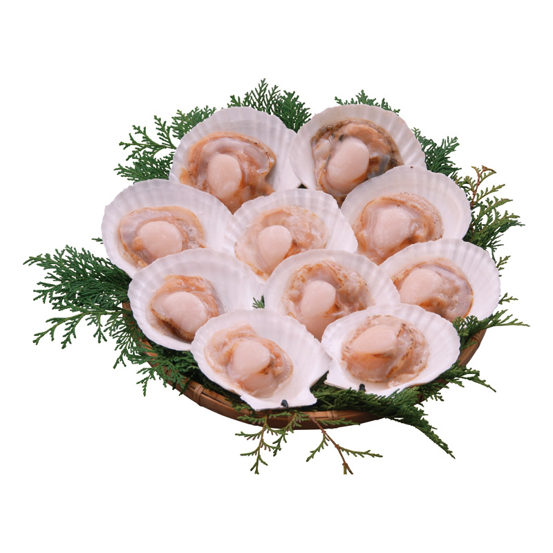 北海道産ほたて片貝10枚