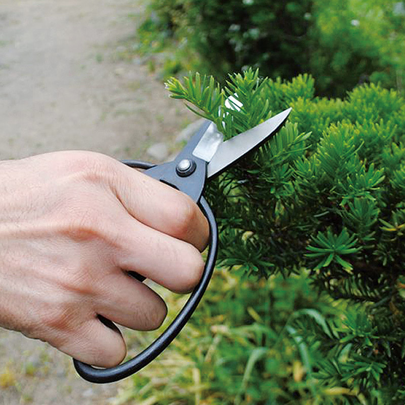 源正宗　　植木鋏