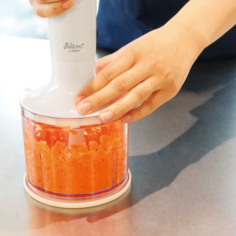 ドリテック　　ハンドブレンダー「デリスティック」