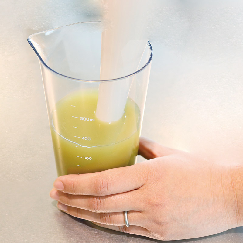 ドリテック　　ハンドブレンダー「デリスティック」