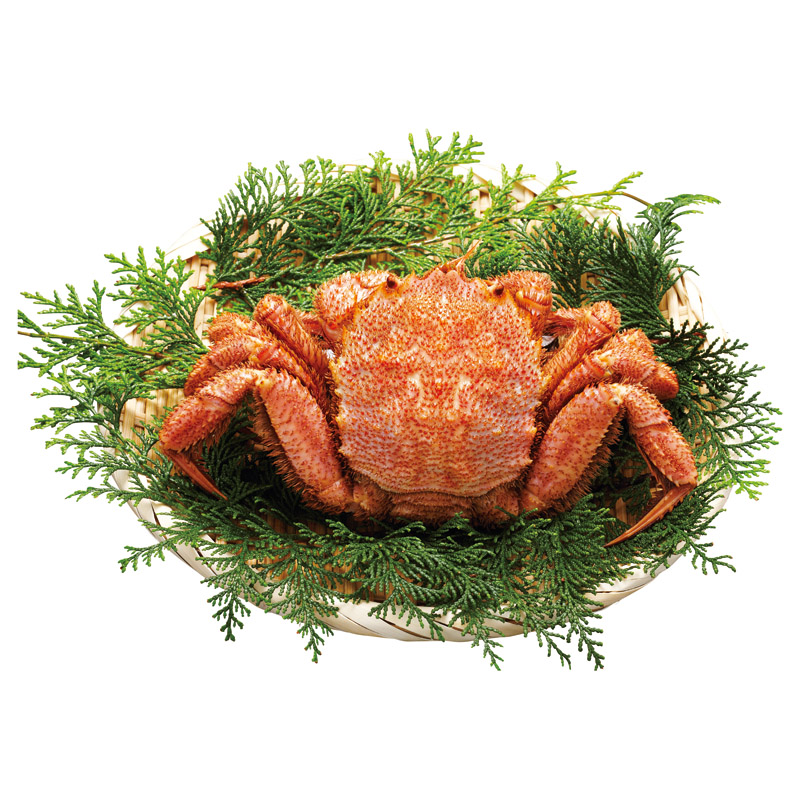 北海道産ボイル毛がに1尾