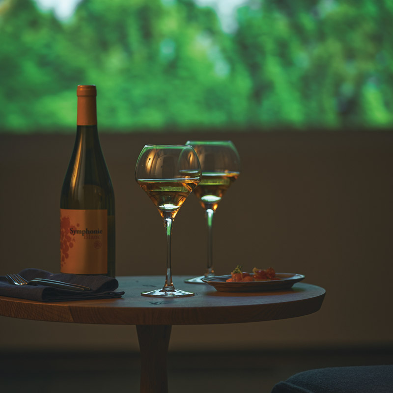 ワイン5客セット