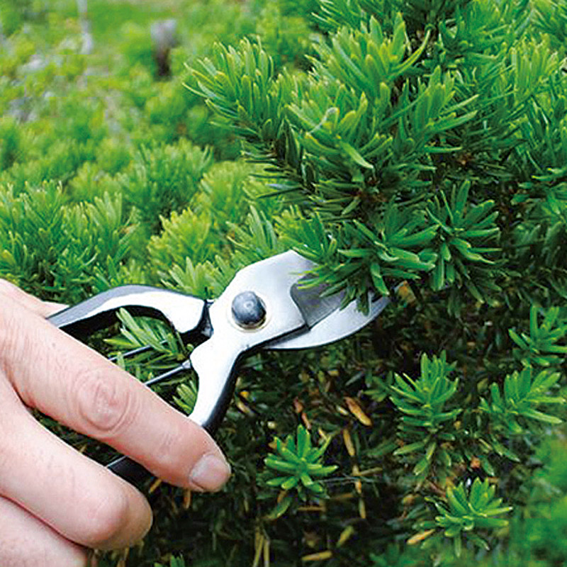 　ガーデン2点セット