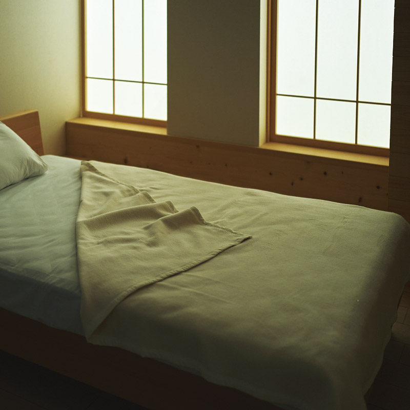 洗えるシルク混毛布2P