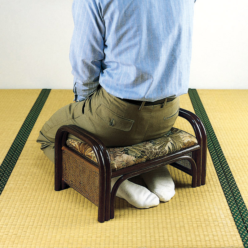 籐アーム付らくらく座椅子ロータイプ2脚組