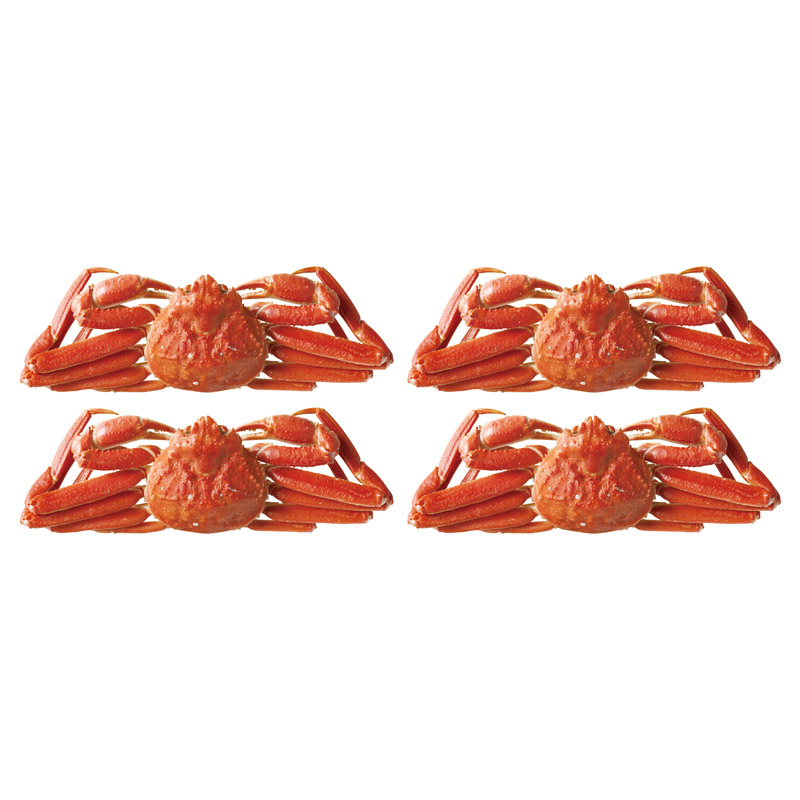 北海ずわいがに4尾